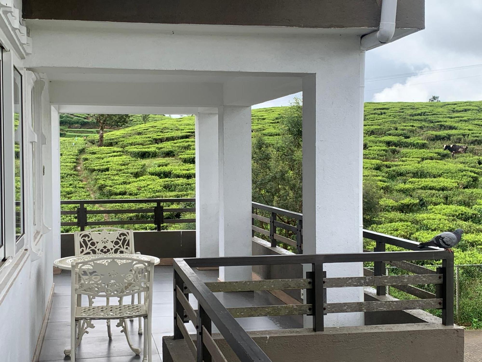 Queens Lake Cabin Nuwara Eliya Zewnętrze zdjęcie